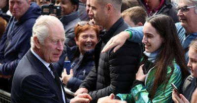 Aide for King Charles tells mourners to 'put the phones down' and refuses selfies as royals visit queue