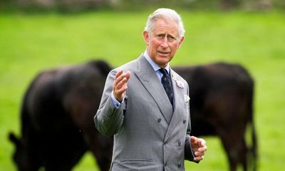 ‘I was told I was a complete idiot’ about organic farming, Charles said day before becoming king