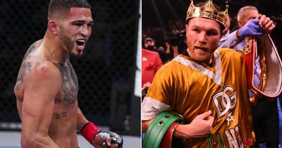 PFL star Anthony Pettis inspired by Canelo Alvarez to make boxing crossover