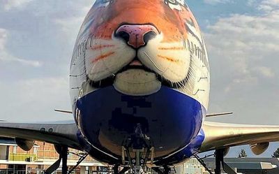 Jet that flew in cheetahs had earned its stripes