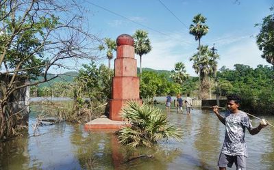 Andhra Pradesh: The once throbbing tribal habitation is now home to a colony of fish!