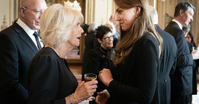 Camilla wears meaningful bracelet as she meets figures from across the Commonwealth