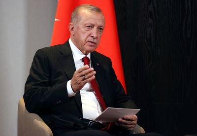 Turkey, Russia reach deal resolving nuclear plant dispute -Erdogan/media