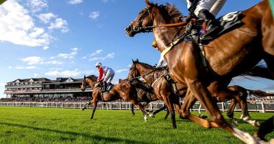 Stunning Irish stud farm, owned by late deputy ruler of Dubai, goes on the market