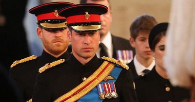 Prince Harry in military uniform stands with brother William at Queen's coffin vigil