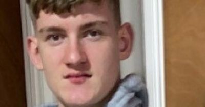 Gardai launch appeal in search for 16-year-old boy missing from Coolock