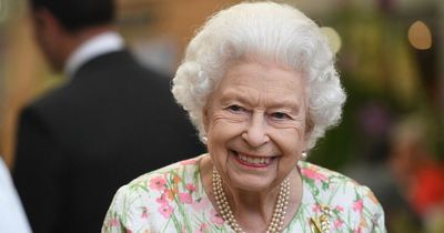 Grief is the price we pay for love said Queen and she's right - Voice of the People