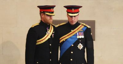 Princes William and Harry stand united in final act of love to honour the Queen