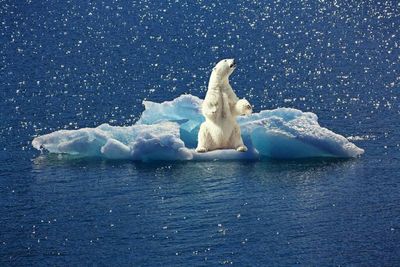 Only now do we realise we’ve pushed nature into ever greater crises
