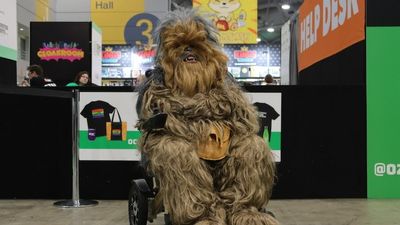 Brisbane's first full scale Comic-Con since COVID brings an influx of new cosplayers