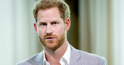 Prince Harry is 'homesick and misses his family' and has 'lost contact with military'