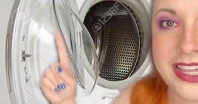 'Mystery' of washing machine door bump solved as expert says it serves a purpose