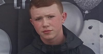 Gardai concerned as two teenagers go missing from Dublin on same day