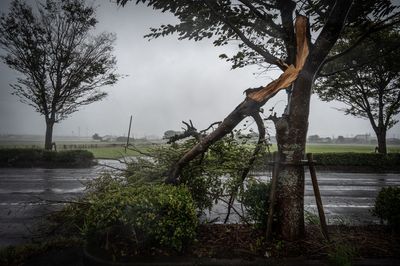 Japan’s fearsome super-typhoon: All you need to know