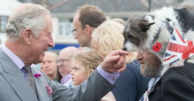 Life of vicar who created dog breed which is now a favourite of King Charles