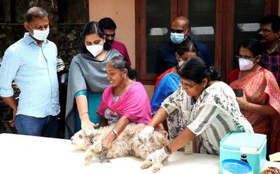 Thiruvananthapuram residents appear not so enthusiastic to vaccinate their pets