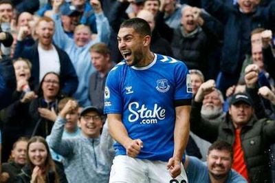 Everton 1-0 West Ham: Neal Maupay gets first Toffees goal as Hammers enter break in relegation zone