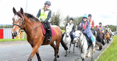 'Deaths are rising on a daily basis': Horses and riders join road safety event in County Durham