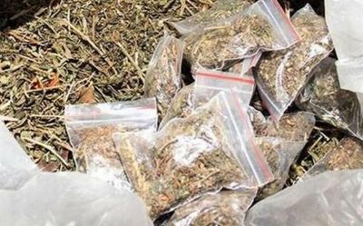 Vijayawada: Four arrested, 45 kg ganja seized