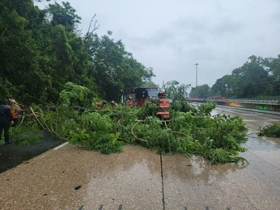 Hurricane Fiona makes landfall in Puerto Rico