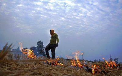 Punjab farmers want to be compensated to stop stubble burning