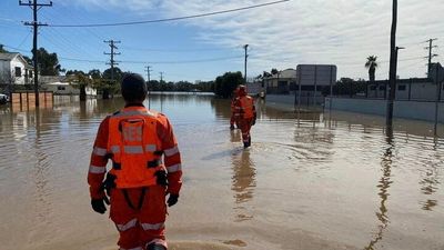 Four homes inundated in Gunnedah as Namoi River recedes from higher than expected peak