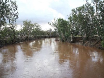 Rescues and evacuations in NSW flooding