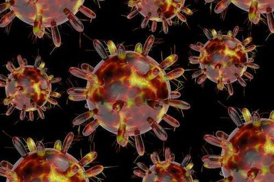 To solve Long Covid, scientists try to pinpoint when the immune system goes haywire