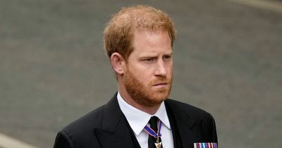 Royal fans share sadness as Prince Harry and Meghan Markle walk side-by-side at Queen's funeral dressed in black