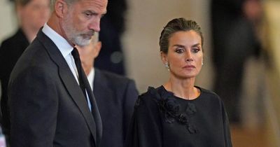 King Felipe and Queen Letizia of Spain's background and careers before unexpectedly taking the throne
