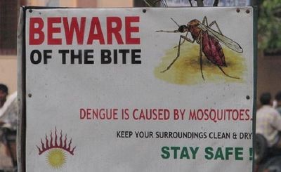 Health: 101 fresh cases of dengue in Delhi, tally rises to 396