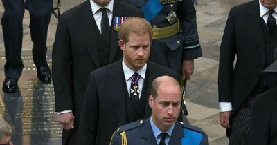 Queen funeral viewers sob as Princes William and Harry get emotional during coffin procession