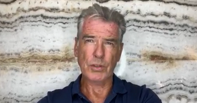 Pierce Brosnan issues plea to Meath council to 'Save the Boyne' on social media