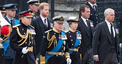 What are King Charles, Prince Edward, William, Princess Anne and Mike Tindall's medals for?