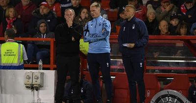 Supercomputer prediction makes for grim reading after Nottingham Forest's miserable run of form