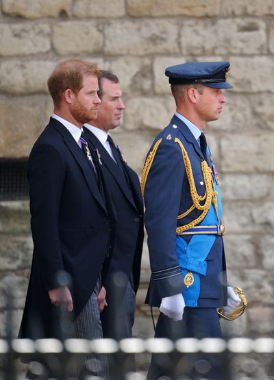 William and Harry side by side on Queen’s final journey