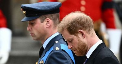 Prince Harry's glances at William during Queen's funeral showed 'regret', says expert