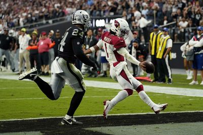 Cardinals 29, Raiders 23: Individual and team stats in win