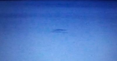 Loch Ness Mon ster spotter gets 'first sightings of Nessie' after webcams installed