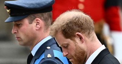 Prince William and Harry 'trying their best’ to get along while mourning Queen