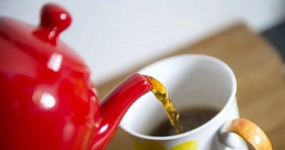 Drinking tea 'may lower risk of type 2 diabetes', new research suggests