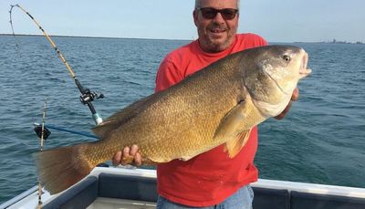 A big freshwater drum from southern Lake Michigan earns Fish of the Week honors