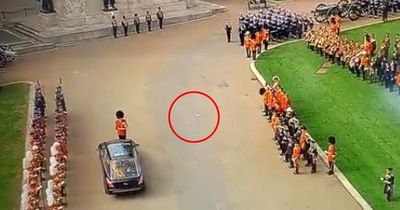 Royal fans moved after spotting symbolic white butterfly flying over Queen's coffin