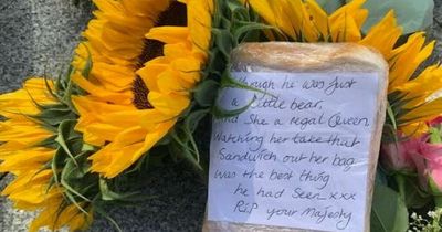 Sweet reason so many sunflowers among tributes to Queen Elizabeth