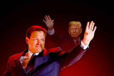 Trump taught Ron DeSantis well