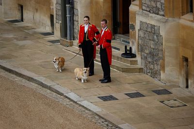 Queen’s corgis and favourite pony play poignant role in Windsor farewell