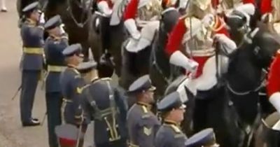 Horse tail hits unlucky soldier in the face in awkward moment at Queen's funeral cortege