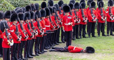 Royal guard collapses face first to ground after fainting at Queen Elizabeth II's state funeral