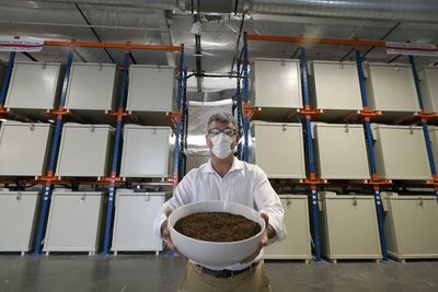 Human composting: California clears the way for greener burial method