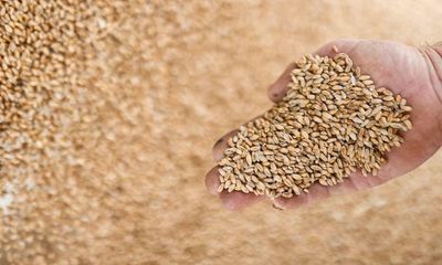 EU wastes 153m tonnes of food a year – much more than it imports, says report